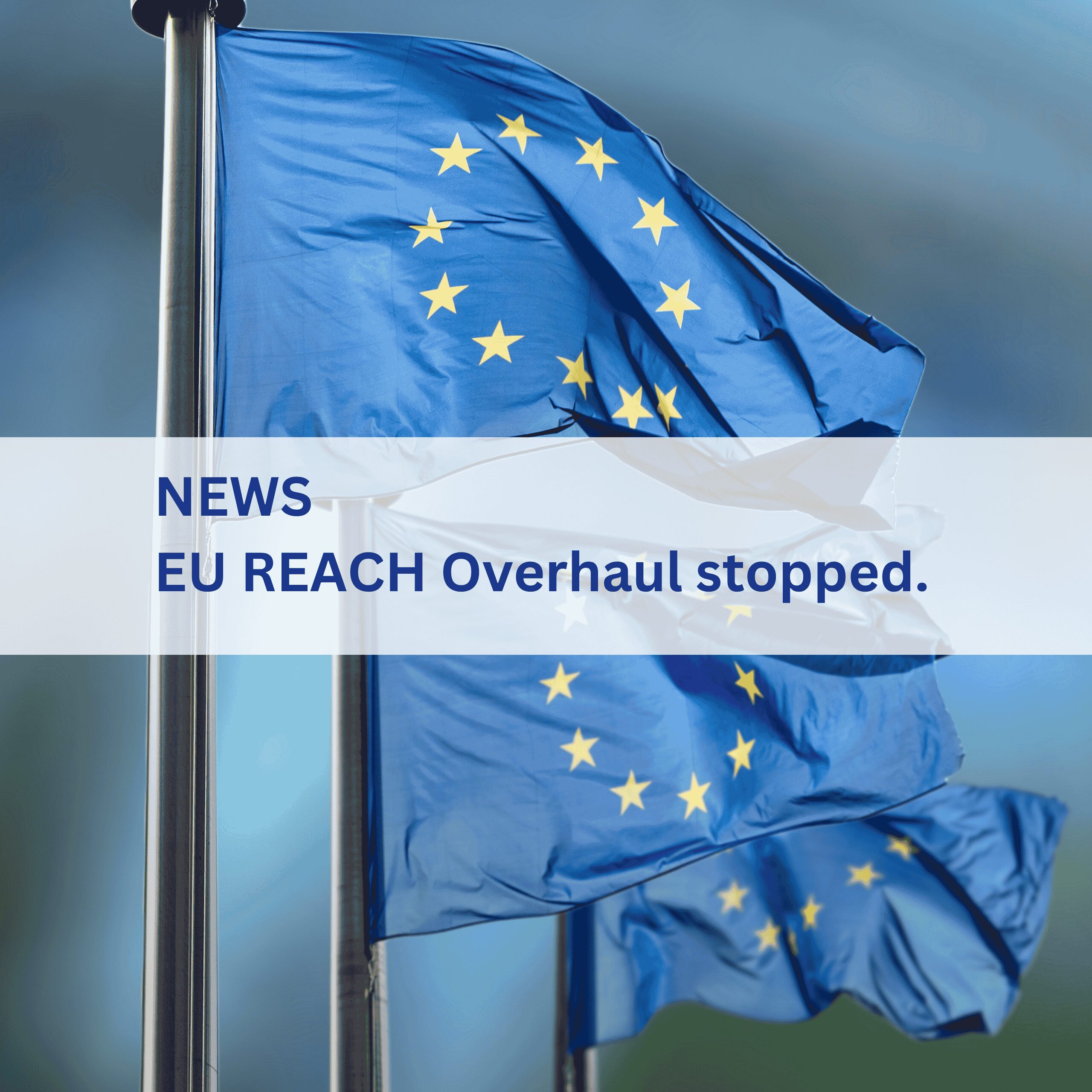 EU REACH revision stopped